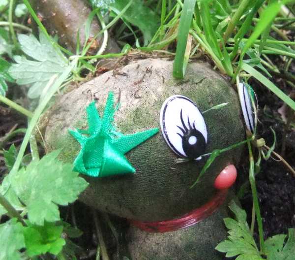 Bild